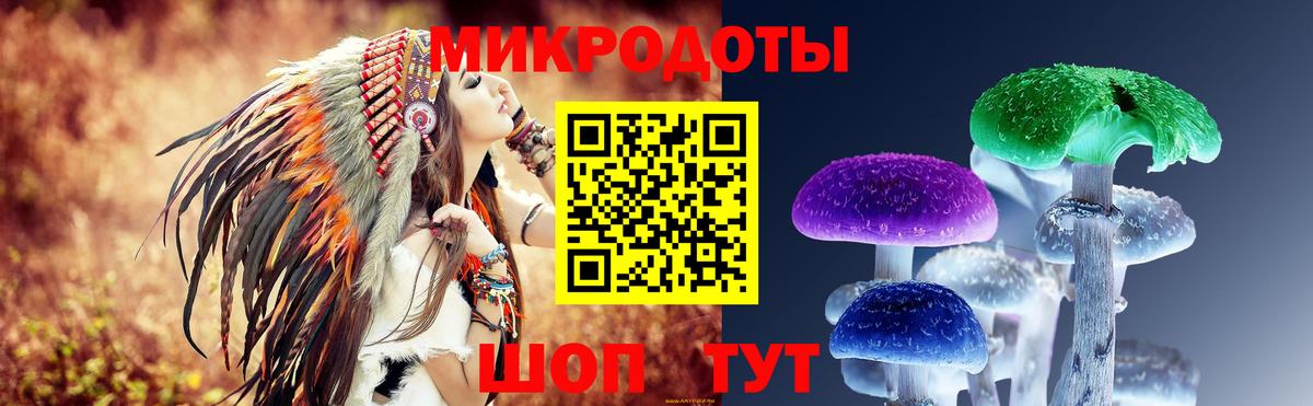 Галлюциногенные грибы Psilocybe  наркота  Верхняя Салда  Вход с VPN 